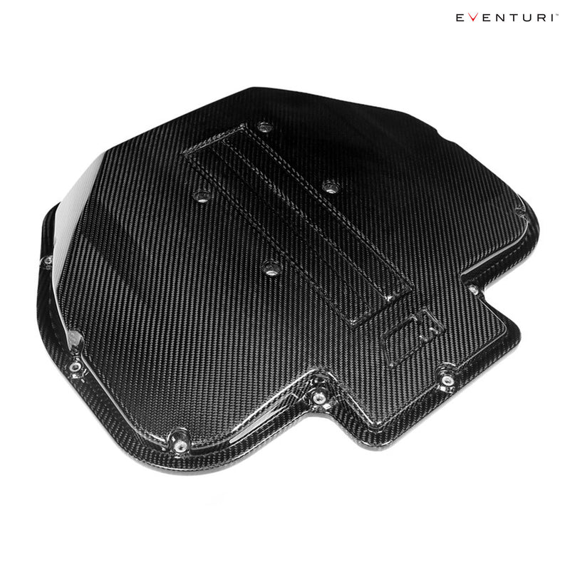 Eventuri Carbon Fiber Plenum Lid for BMW S62 V8, E39 M5 and Z8